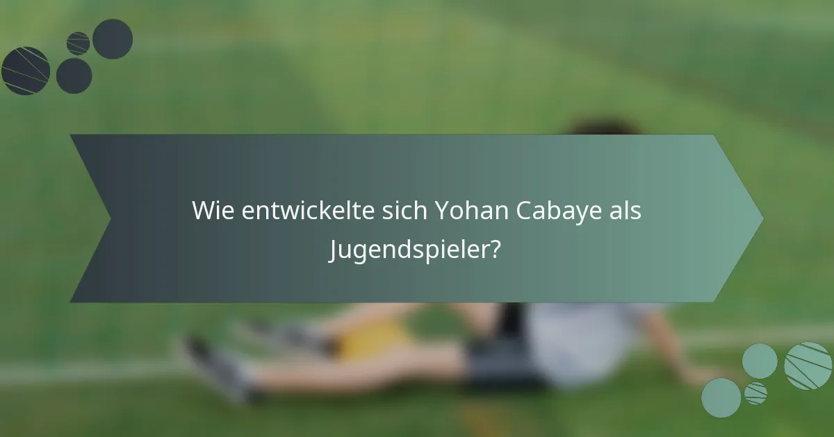 Wie entwickelte sich Yohan Cabaye als Jugendspieler?
