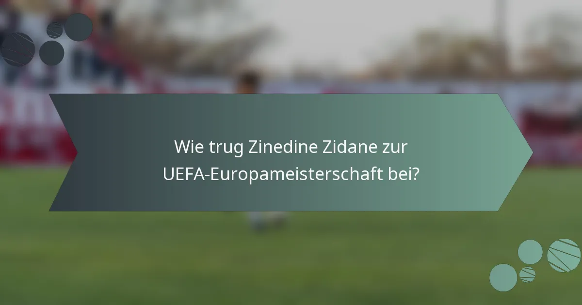 Wie trug Zinedine Zidane zur UEFA-Europameisterschaft bei?