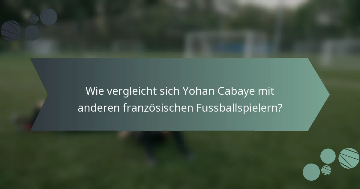 Wie vergleicht sich Yohan Cabaye mit anderen französischen Fussballspielern?